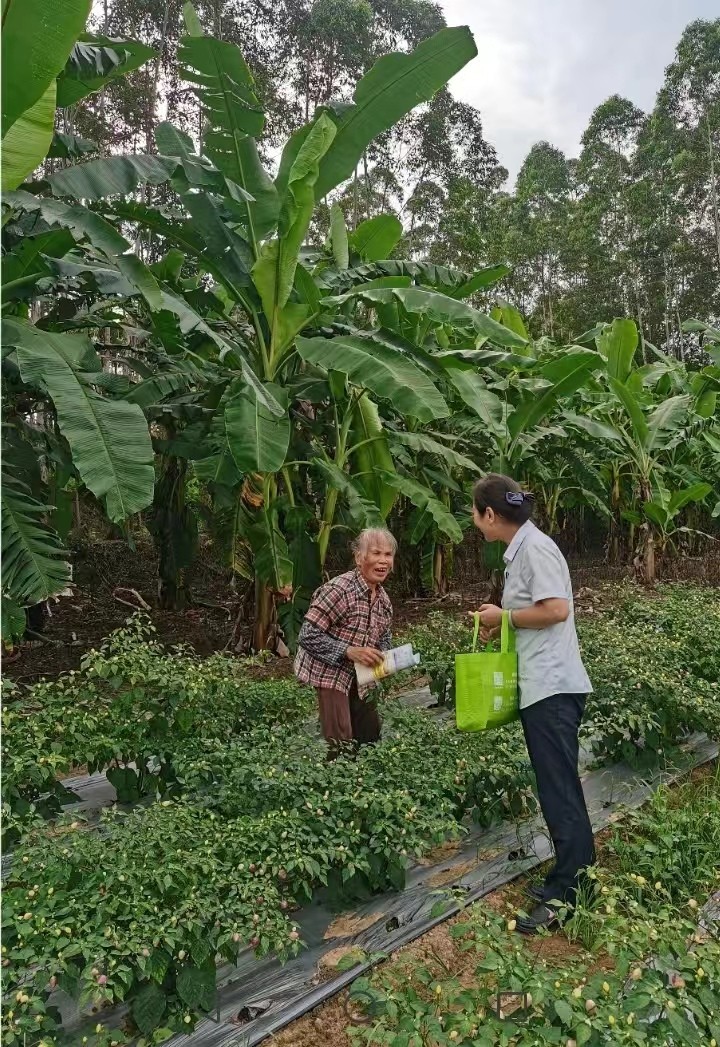 心系银龄，多维度传递温情配图2